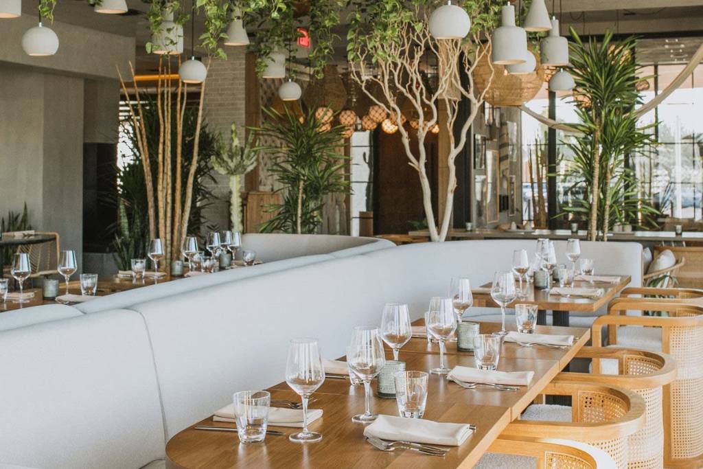 Cala Scottsdale Restaurant Review