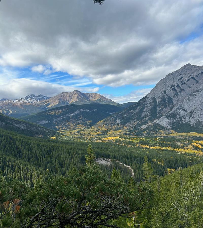 Wasootch Ridge Trail (4)