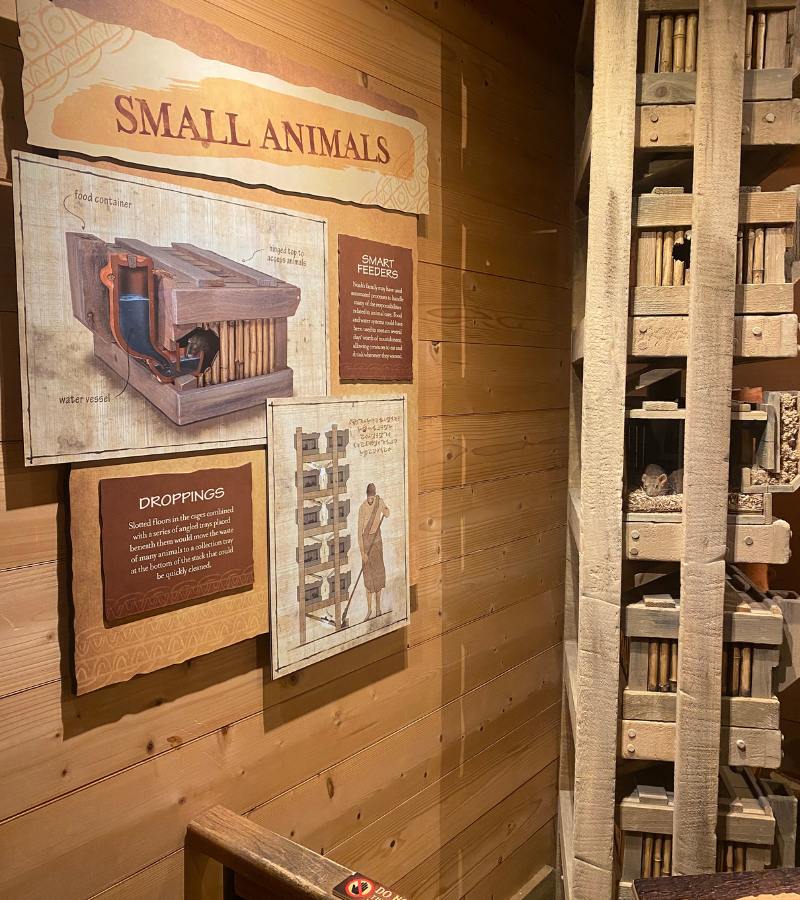 Ark Encounter Review