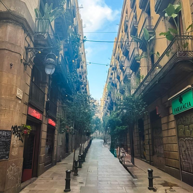 Barcelona Tapas and Wine Tour (4) Barcelona Tapas and Wine Tour (3)