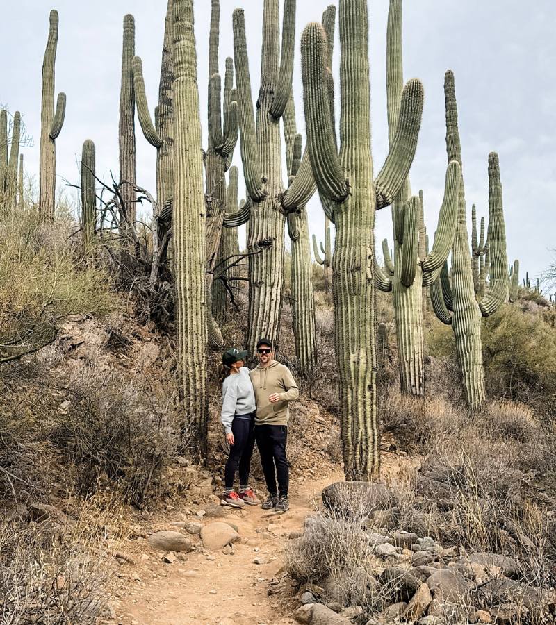 DRAGONFLY TRAIL - Cave Creek Arizona