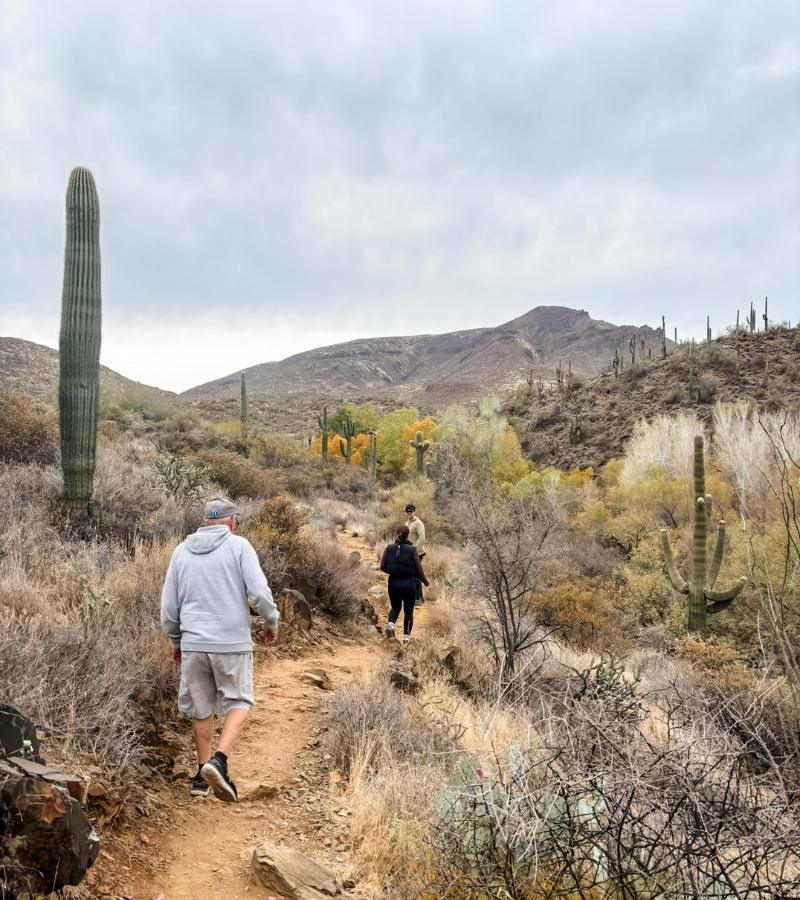 Dragonfly Trail Hike - Cave Creek, AZ